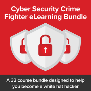 Cyber Security Crime Fighter eLearning Bundle