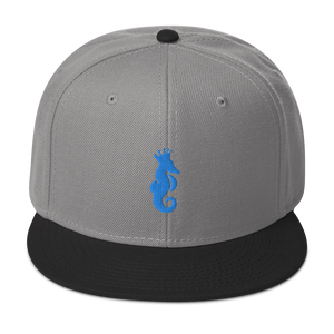 Dwayne Elliott Collection Snapback Hat - Aqua/Teal Seahorse Logo - Dwayne Elliott Collection