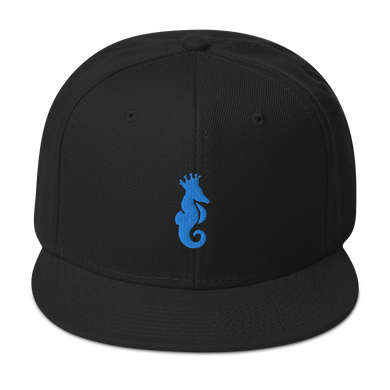 Dwayne Elliott Collection Snapback Hat - Aqua/Teal Seahorse Logo - Dwayne Elliott Collection